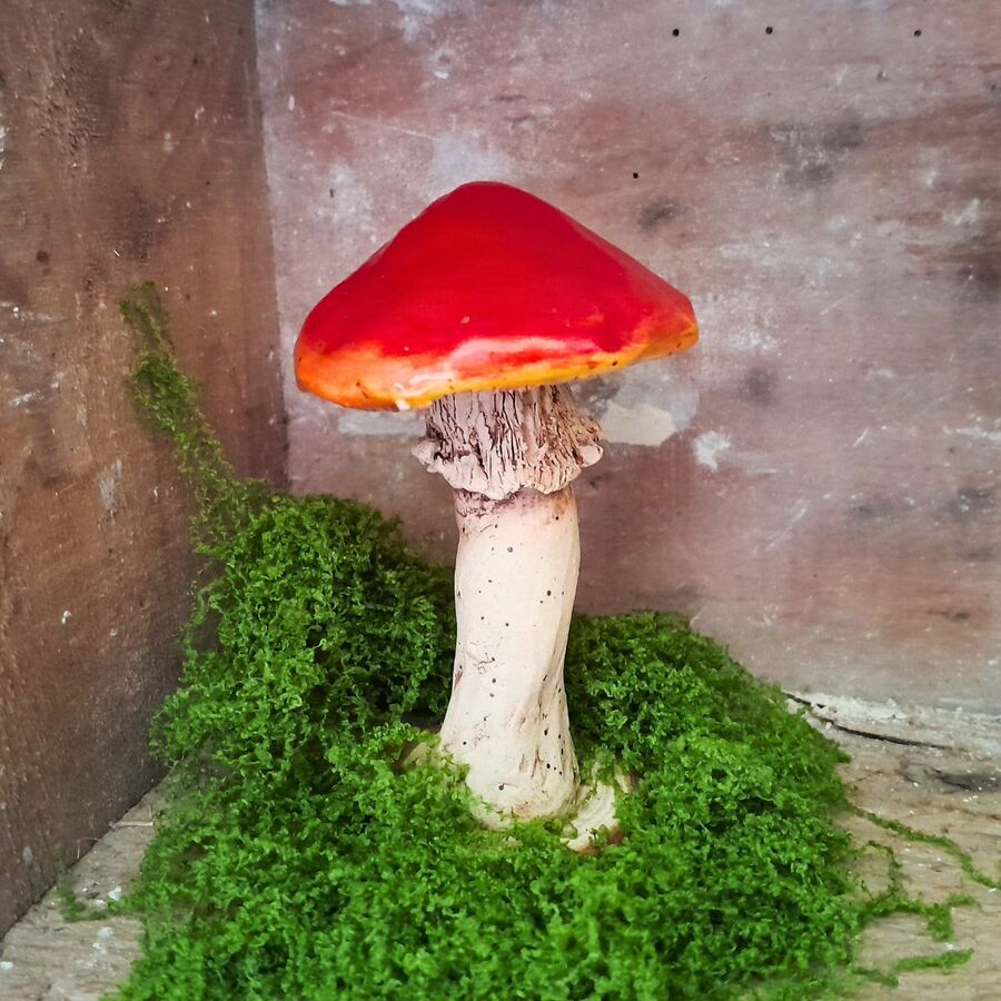 Handmade Shroom by Eden M - 2